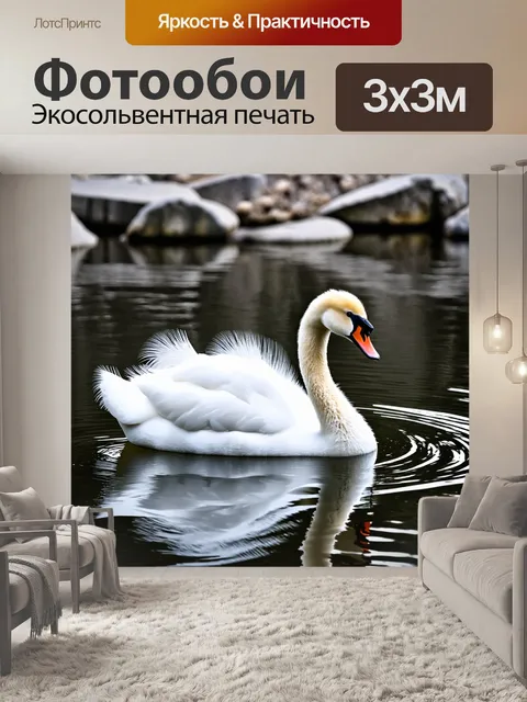 Фотообои Изображение красивого белого лебедя с пышными перьями, плавающего в спокойной воде. Рядом с ним плавает мален…