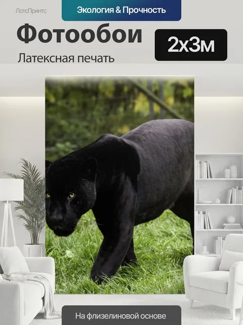 200 × 300 см · Латексная печать