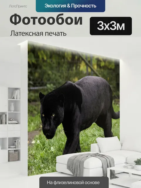300 × 300 см · Латексная печать