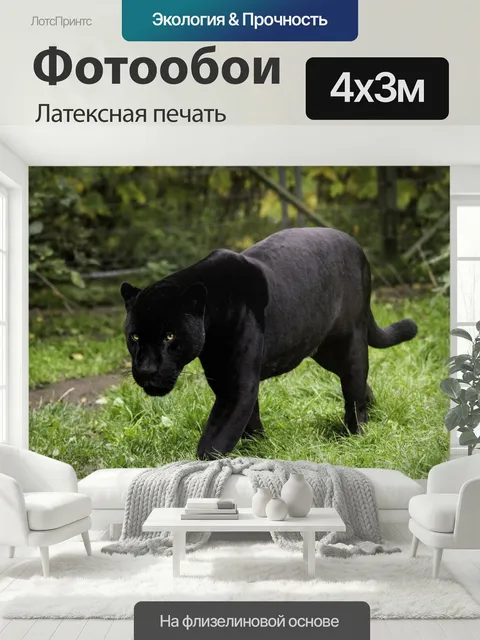 400 × 300 см · Латексная печать