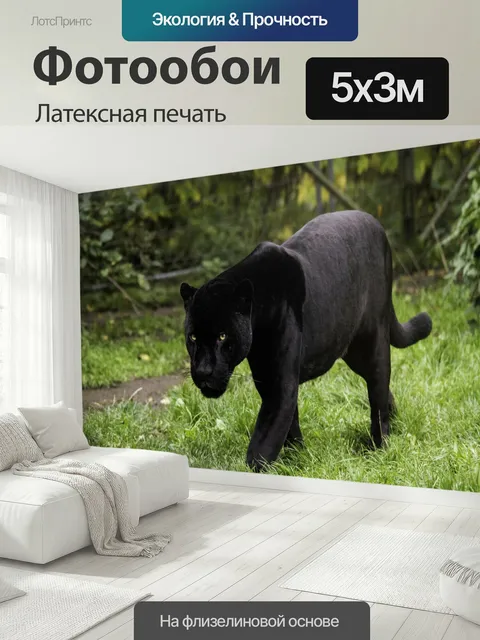 500 × 300 см · Латексная печать