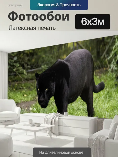 600 × 300 см · Латексная печать