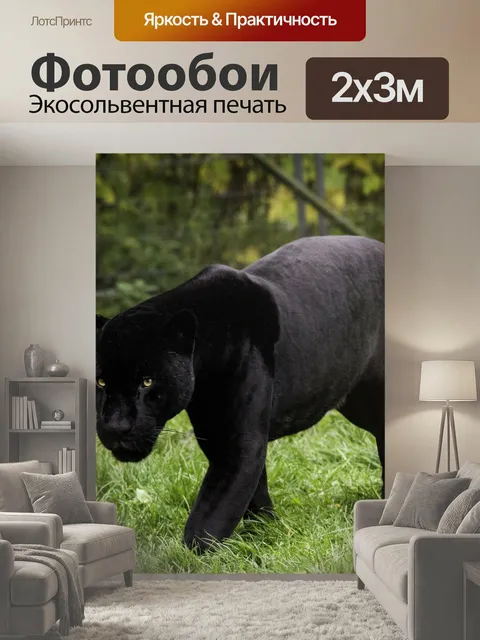 200 × 300 см · Экосольвентная печать
