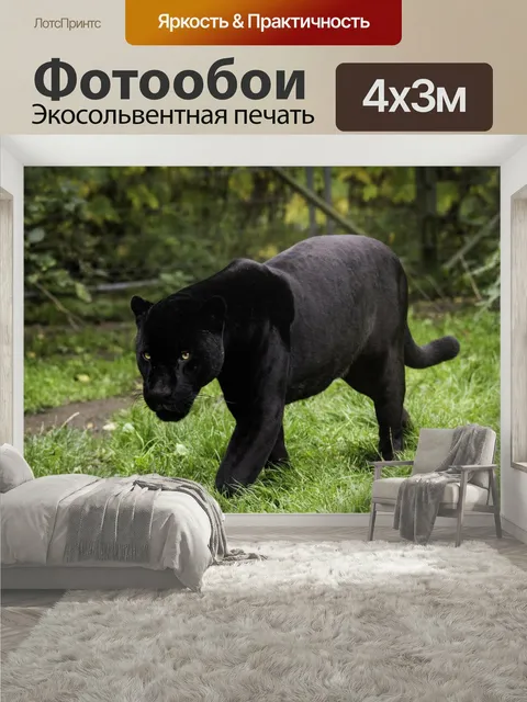 400 × 300 см · Экосольвентная печать