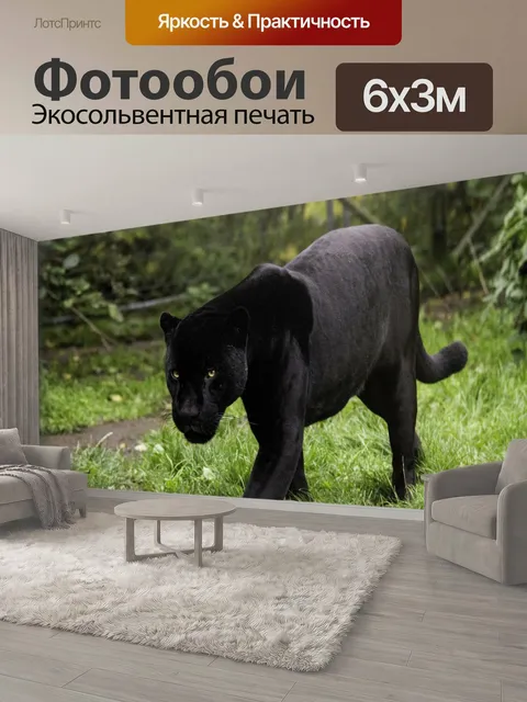 600 × 300 см · Экосольвентная печать