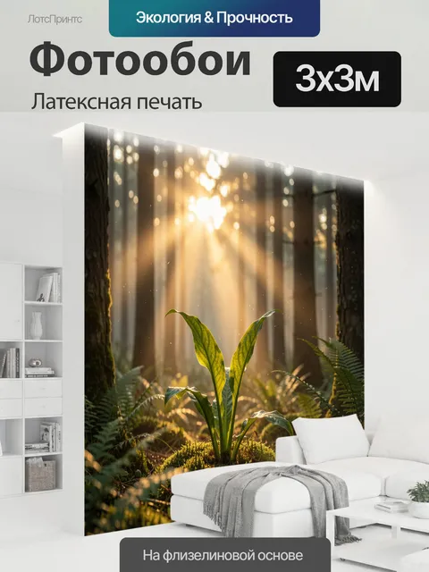 300 × 300 см · Латексная печать