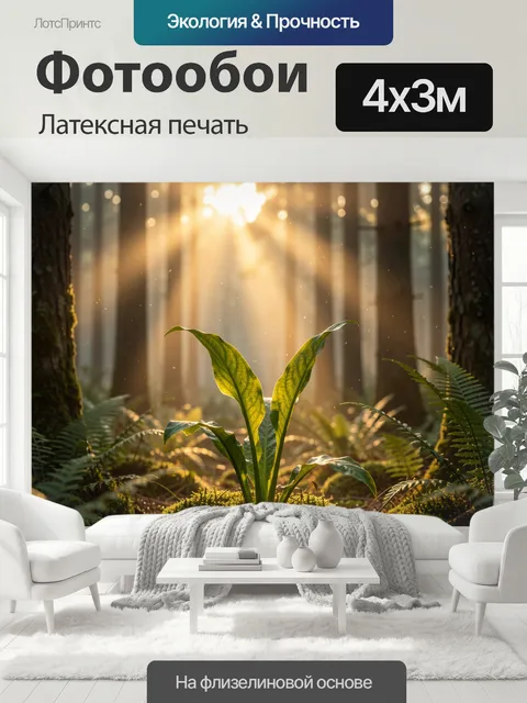 400 × 300 см · Латексная печать