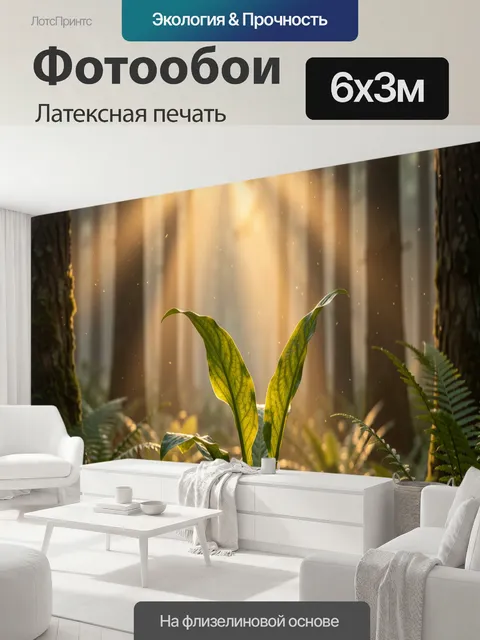 600 × 300 см · Латексная печать