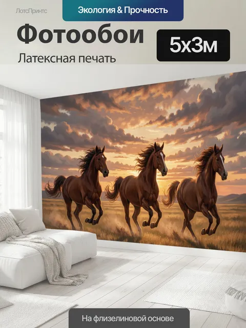 500 × 300 см · Латексная печать