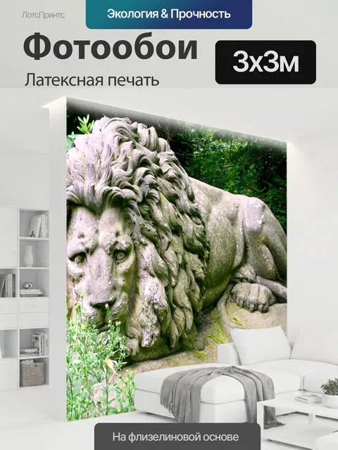 300 × 300 см · Латексная печать