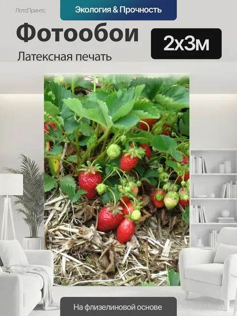200 × 300 см · Латексная печать