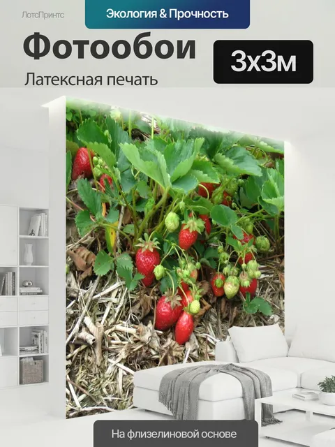 300 × 300 см · Латексная печать