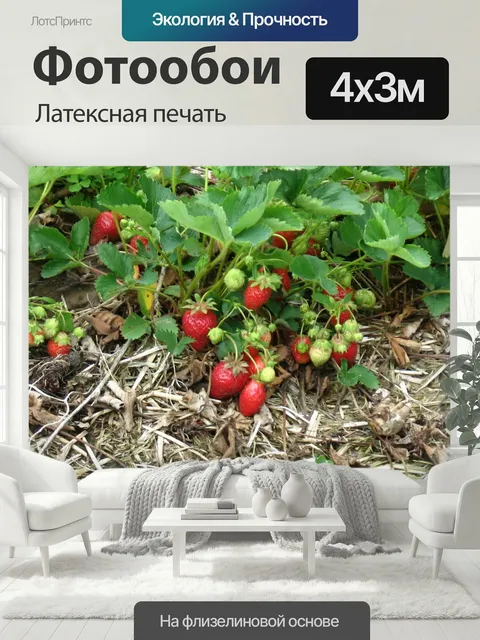 400 × 300 см · Латексная печать