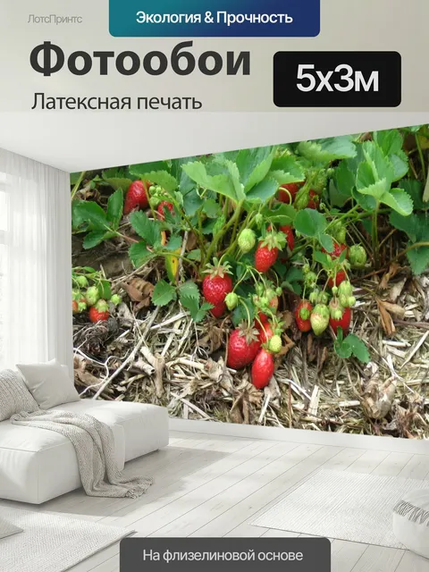 500 × 300 см · Латексная печать