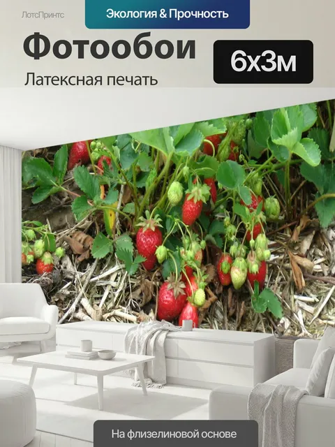 600 × 300 см · Латексная печать