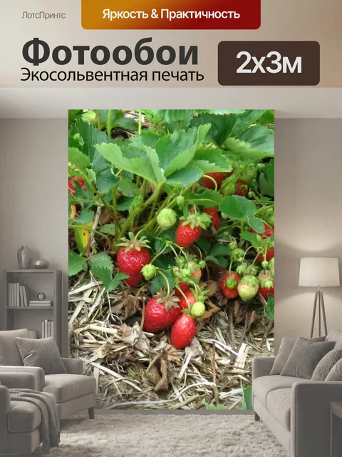200 × 300 см · Экосольвентная печать