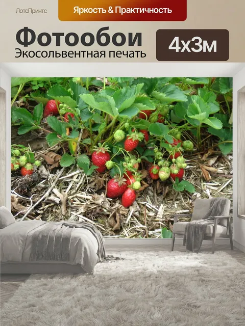 400 × 300 см · Экосольвентная печать