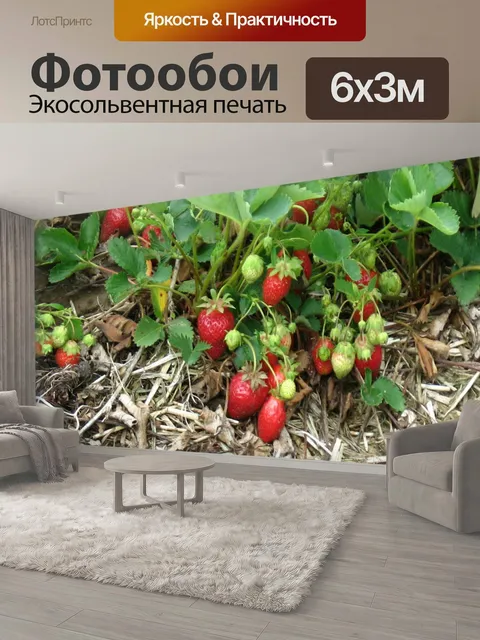 600 × 300 см · Экосольвентная печать