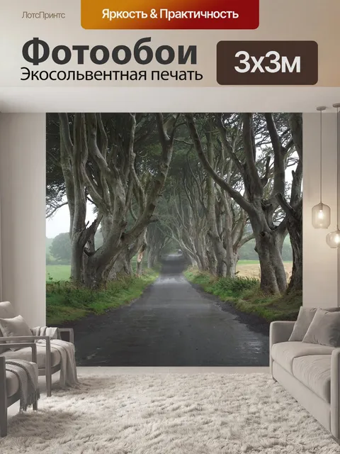 Фотообои Игра престолов, ирландия, деревья