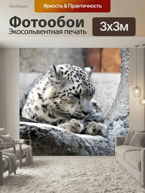 Фотообои Снежный барс, ирбус, снежный леопард