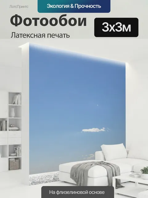 300 × 300 см · Латексная печать