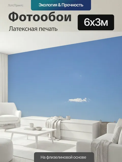 600 × 300 см · Латексная печать