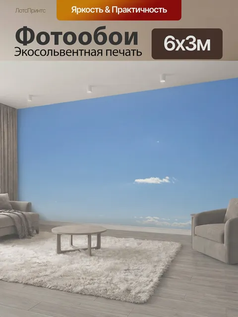 600 × 300 см · Экосольвентная печать