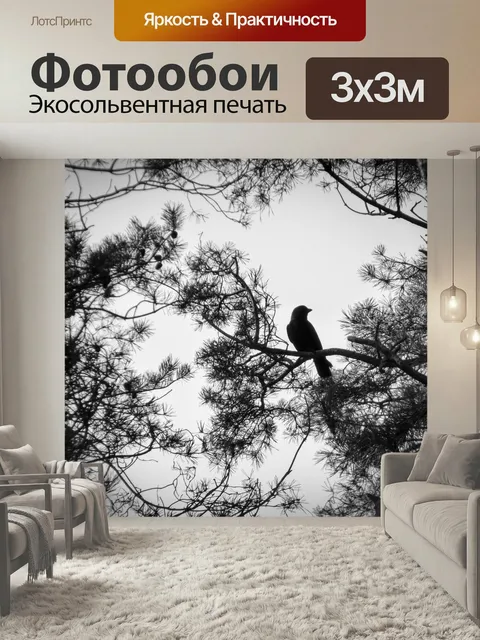 Фотообои Черно-белый, ворона, падение
