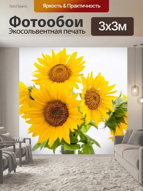 Фотообои Подсолнухи, цветы, цвести