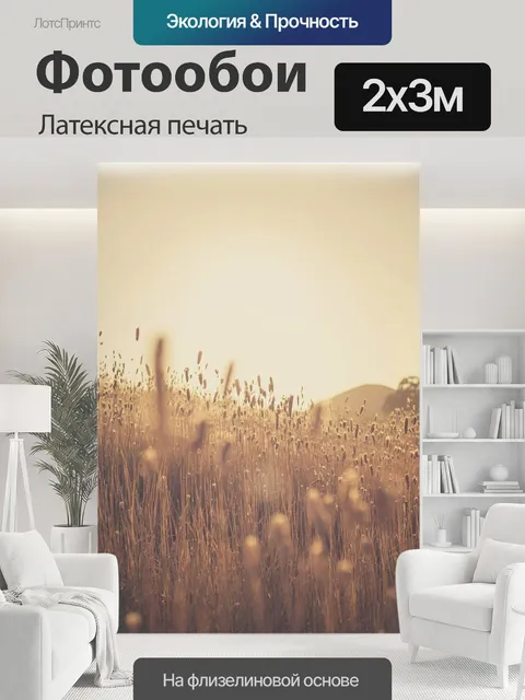 200 × 300 см · Латексная печать