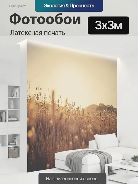 300 × 300 см · Латексная печать