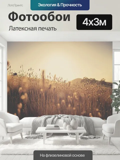 400 × 300 см · Латексная печать