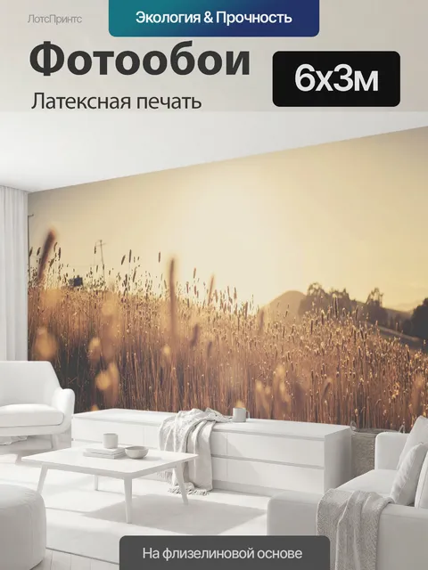 600 × 300 см · Латексная печать