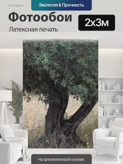 200 × 300 см · Латексная печать