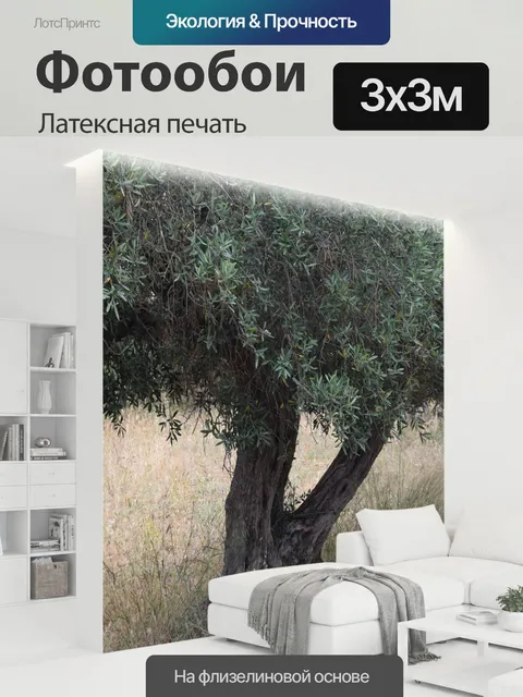 300 × 300 см · Латексная печать
