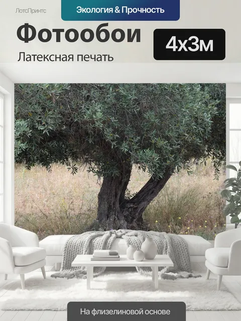 400 × 300 см · Латексная печать