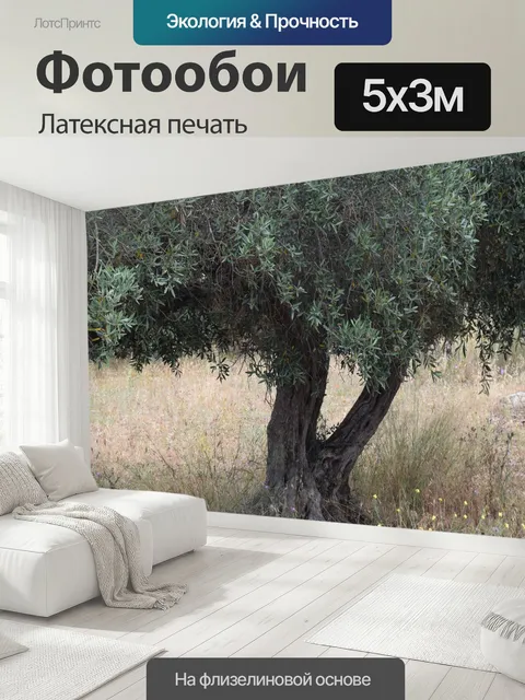 500 × 300 см · Латексная печать