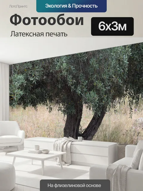 600 × 300 см · Латексная печать