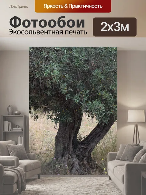 200 × 300 см · Экосольвентная печать