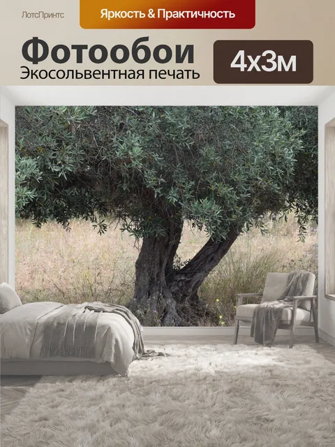 400 × 300 см · Экосольвентная печать