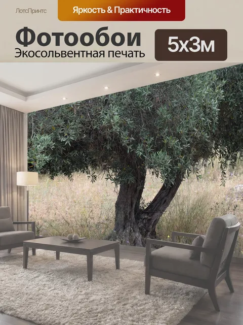 500 × 300 см · Экосольвентная печать