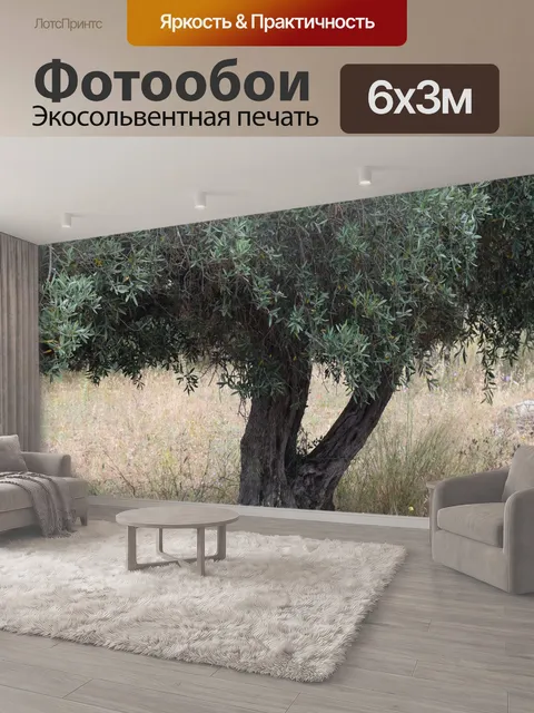 600 × 300 см · Экосольвентная печать