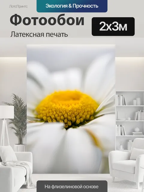 200 × 300 см · Латексная печать