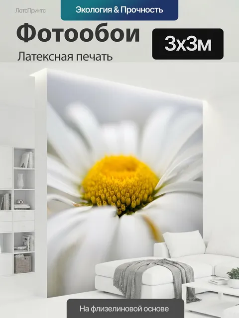 300 × 300 см · Латексная печать