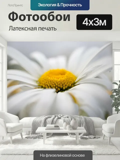 400 × 300 см · Латексная печать