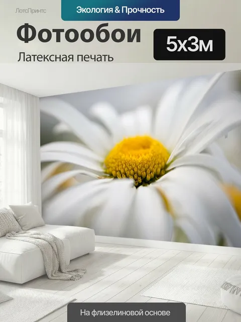 500 × 300 см · Латексная печать