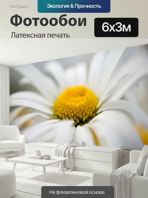 600 × 300 см · Латексная печать