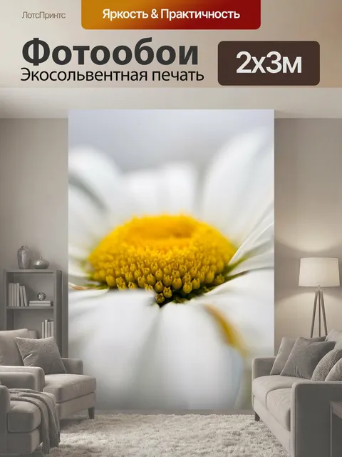 200 × 300 см · Экосольвентная печать
