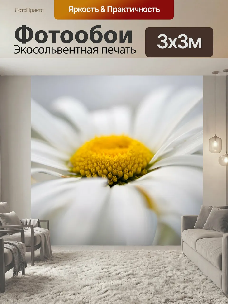 Фотообои Ромашка, цветы, ромашки