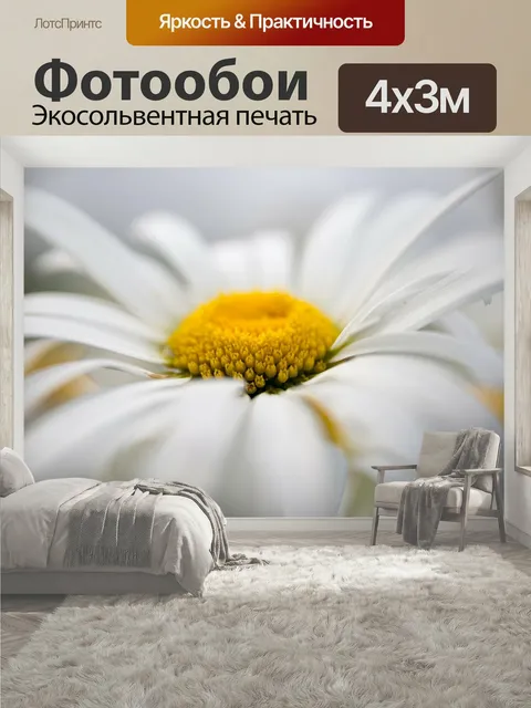 400 × 300 см · Экосольвентная печать